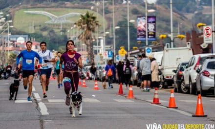 Reñaca será el punto de partida de las PerroRunning 2018