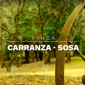 Finca Carranza Sosa
