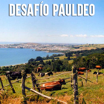 Desafío Pauldeo