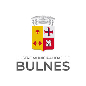 Municipalidad de Bulnes