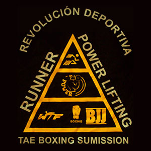 Club Deportivo Revolución Deportiva