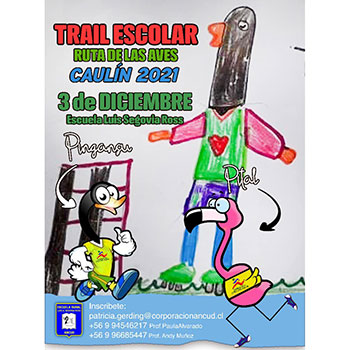 Trail Escolar Ruta de las Aves