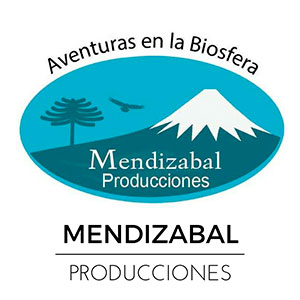 Mendizabal Producciones