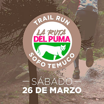 Tour Araucania Trail - La Ruta del Puma