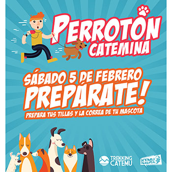 Perrotón Catemina