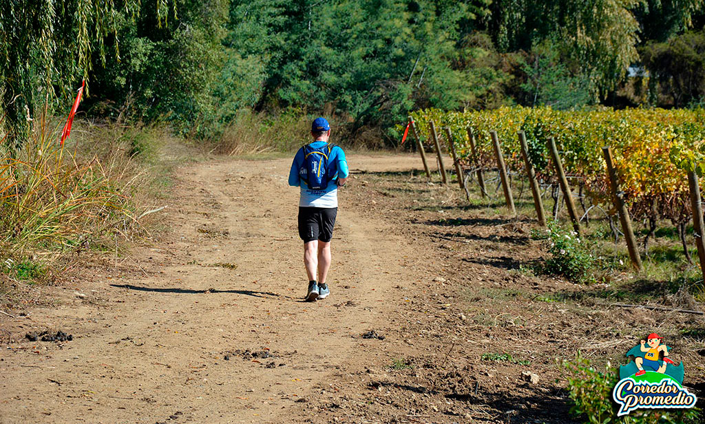 10º Trail Corriendo Entre Viñedos