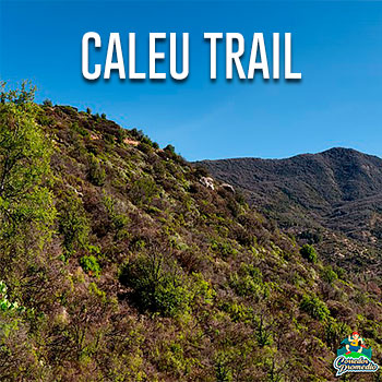 Caleu Trail
