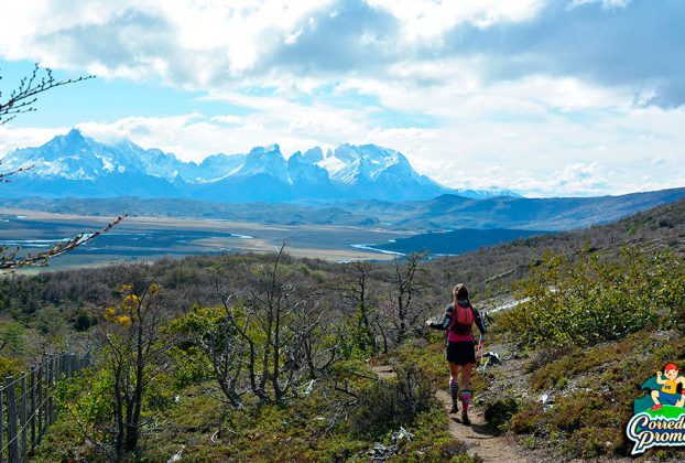 Corredores de más de 40 países estarán en Chile para vivir Patagonian International Marathon y Ultra Paine
