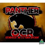 Panther OCR
