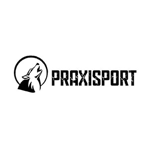 Praxisport