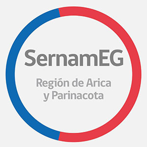 Servicio Nacional de la Mujer y la Equidad de Género Arica y Parinacota