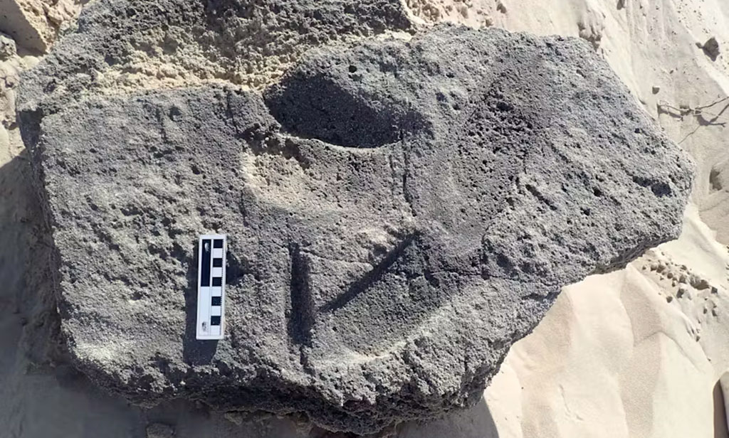 Descubrimiento en Sudáfrica: Huellas antiguas revelan los primeros zapatos humanos