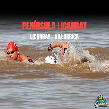 Swimming Around The Peninsula Licanray