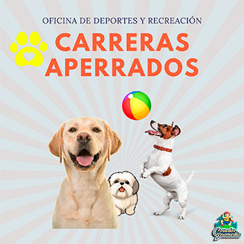 Carrera Aperrados Quillón