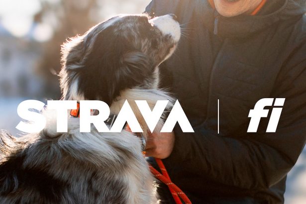 Strava y Fi se asocian para lanzar una integración única que beneficiará a los perros