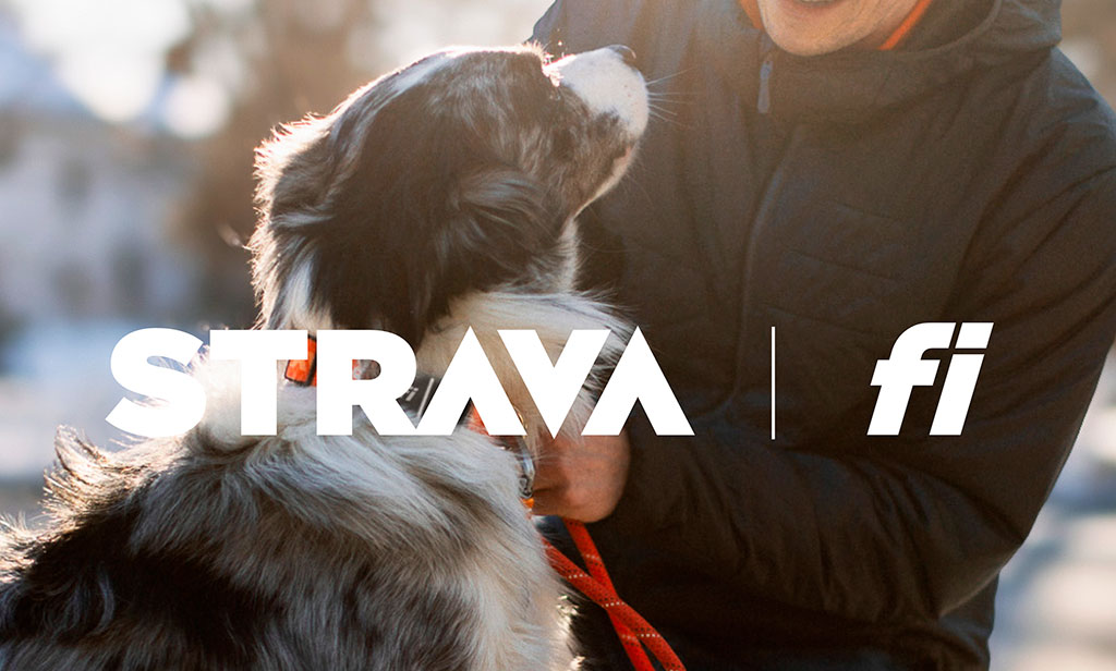 Strava y Fi se asocian para lanzar una integración única que beneficiará a los perros