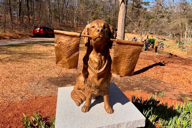 Homenaje a Spencer: El perro oficial del Maratón de Boston