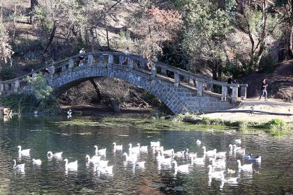 300 corredores impulsan la reforestación del Jardín Botánico