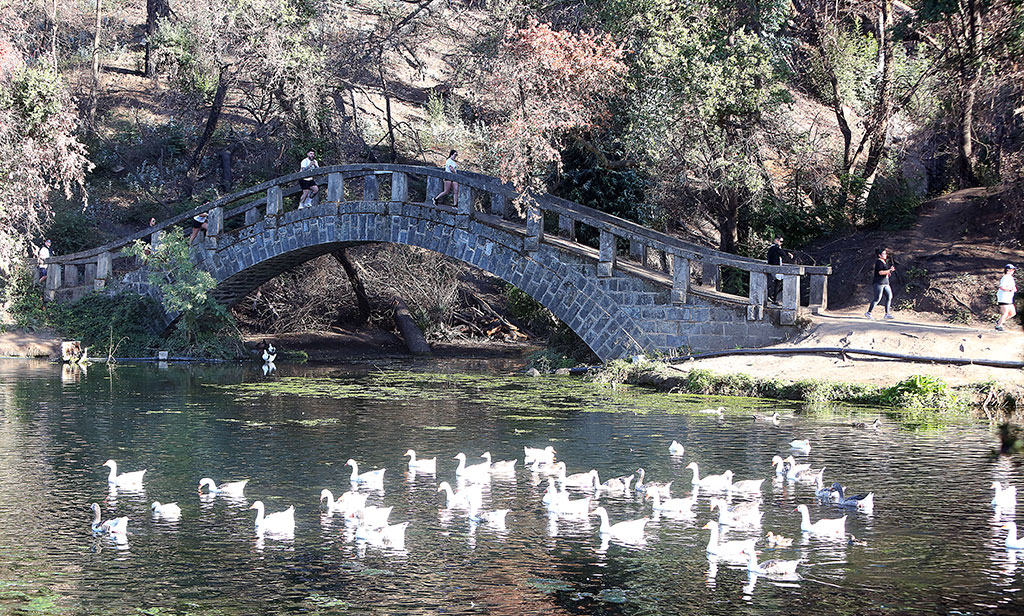 300 corredores impulsan la reforestación del Jardín Botánico
