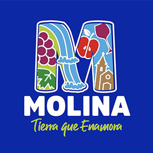 Municipalidad de Molina