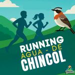 Running Agua de Chincol