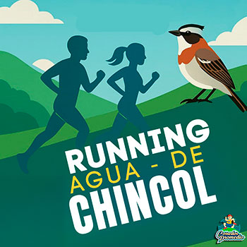 Running Agua de Chincol