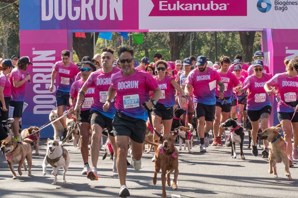 Vuelve DOGRUN: La carrera recreativa que celebra el vínculo con tu mascota