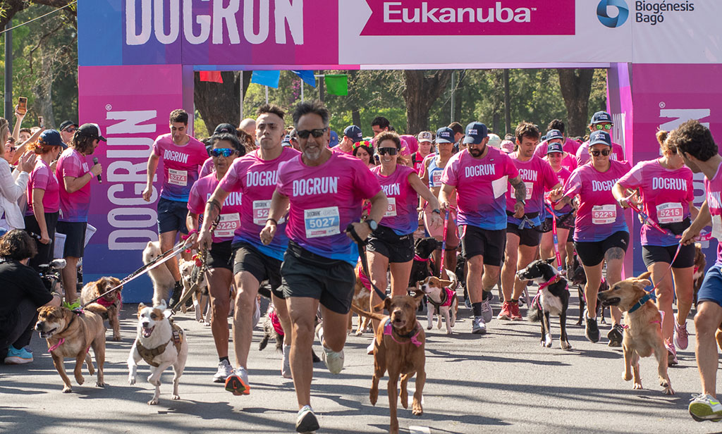 Vuelve DOGRUN: La carrera recreativa que celebra el vínculo con tu mascota