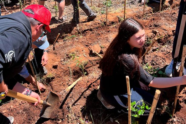 Bosque Maratón: corredores del Maratón de Santiago impulsan plantación de 400 árboles nativos
