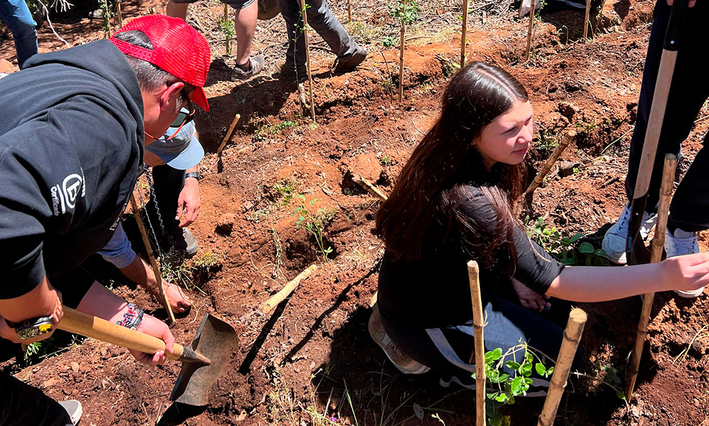 Bosque Maratón: corredores del Maratón de Santiago impulsan plantación de 400 árboles nativos