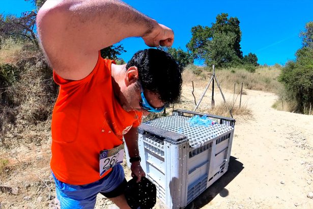 Entrenar con más de 30 grados: Un riesgo que va más allá de la deshidratación