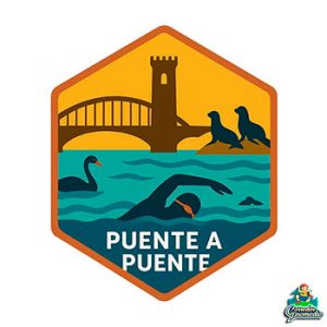 Puente a Puente