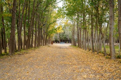 Zapala inaugura los Senderos de la Mujer en el Bosque Comunal
