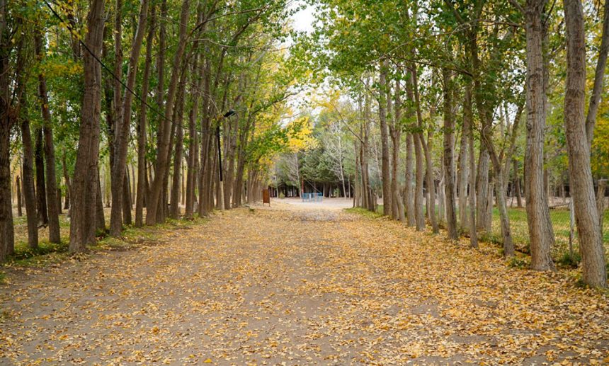 Zapala inaugura los Senderos de la Mujer en el Bosque Comunal