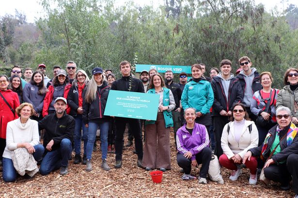Maratón de Santiago reforesta Parquemet con 150 árboles nativos