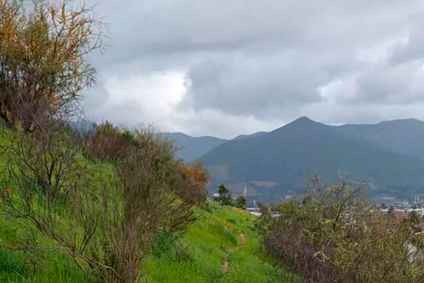 Día de los Cerros 2026: Cerro Mayaca