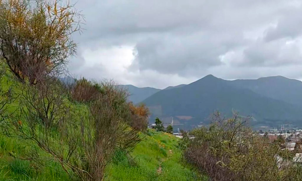 Día de los Cerros 2026: Cerro Mayaca