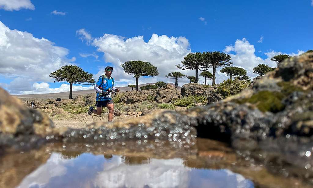 Corredor en la ruta de Primeros Pinos Endurance Race